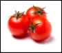 Tomato Nutrient Mmt